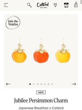 ISO DO NOT BUY CATBIRD x JAPANESE BREAKFAST PERSIMMON CHARM
